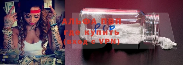 эйфоретик Иннополис
