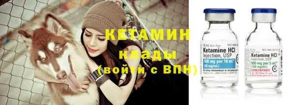 прущие крисы Инта