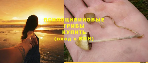 альфа пвп Инсар