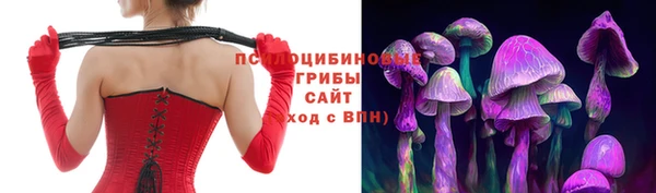 прущие крисы Инта