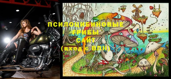 прущие крисы Инта