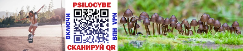 Купить закладки  Ефремов  Псилоцибиновые грибы мухоморы 